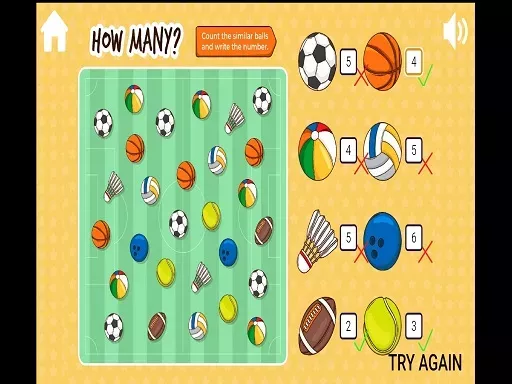 Hidden Totals: Object Counting Game